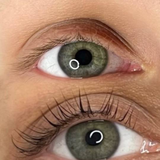 Zeta #beograd Trepavice Lash lift