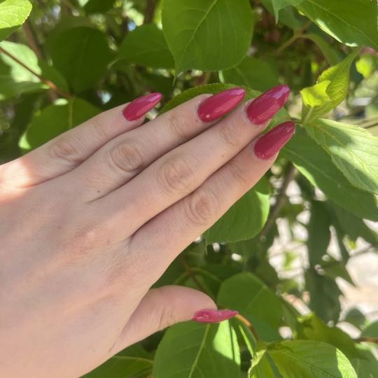 Grkinja Beauty Studio #krusevac