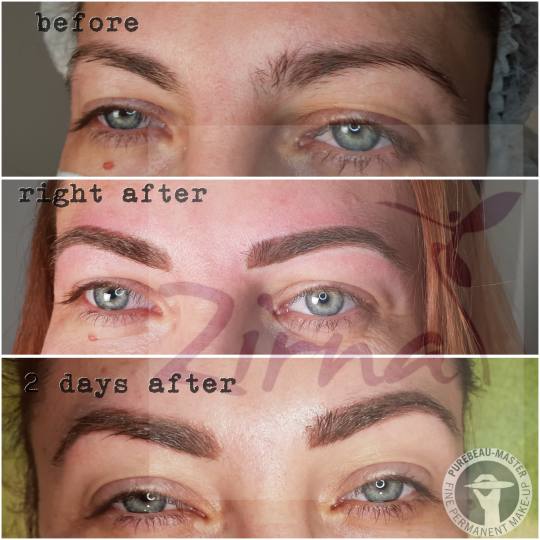 Zirna Exclusive Beauty Center #novisad Obrve