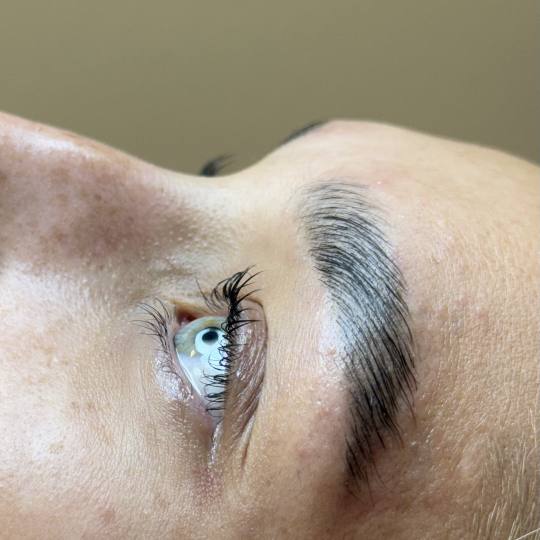 The Maya #beograd Obrve Brow lift + lash lift + farbanje obrva i trepavica