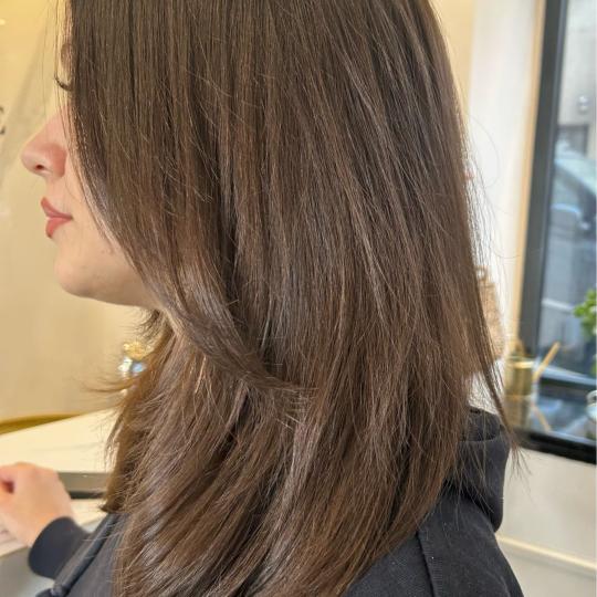 Esthetique Privé #beograd Šišanje Žensko šisanje +tretman za hidrataciju kose+ feniranje - sve 