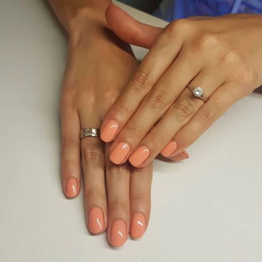 BB Studio #beograd Gel lak Kris Gel lak + manikir - ruke Lak koji se ne krza, ne ljušti, traje od t