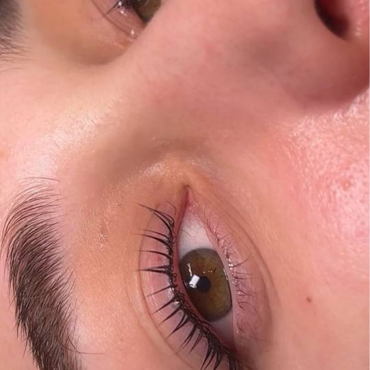 Alexandria Brow&Beauty lounge #beograd Trepavice Lash lift