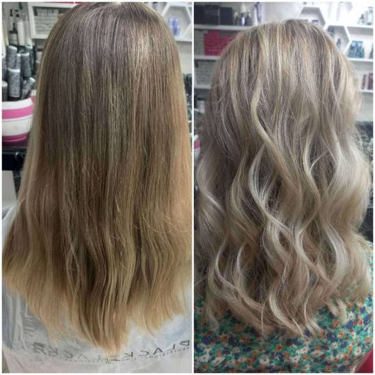 Royal cut - No Limit #beograd