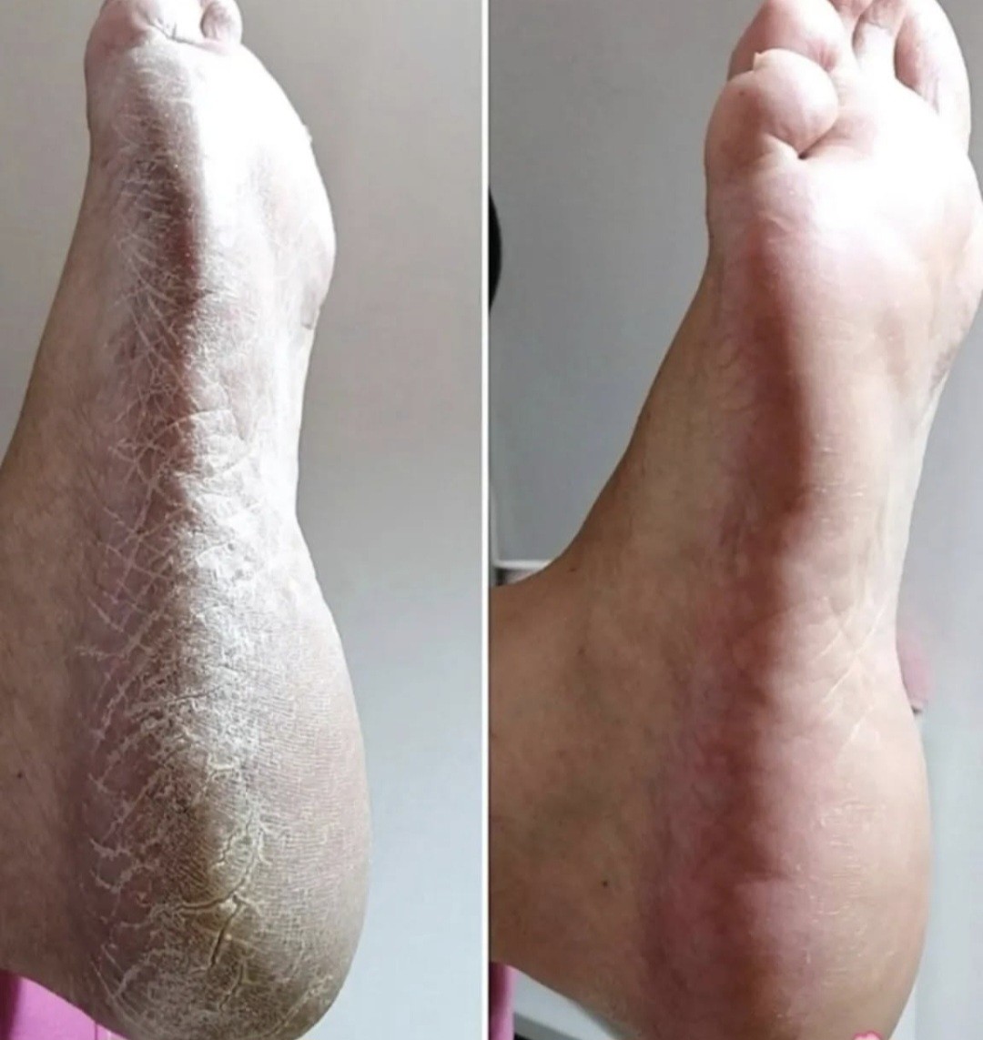 Carpe Diem, Beograd LookBook