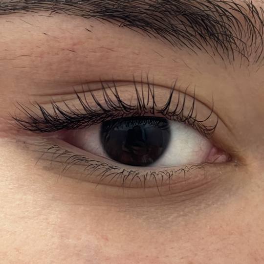 Kod Mačeta #beograd Trepavice Lash lift plus keratin plus farbanje ️