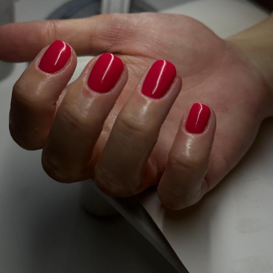 The Maya #beograd Gel lak Gel lak - ruke