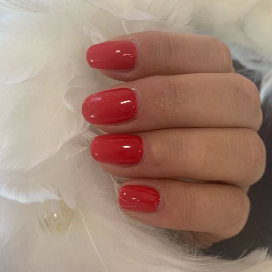 SALON 26 - Dorćol #beograd Gel lak Gel lak Gel lak