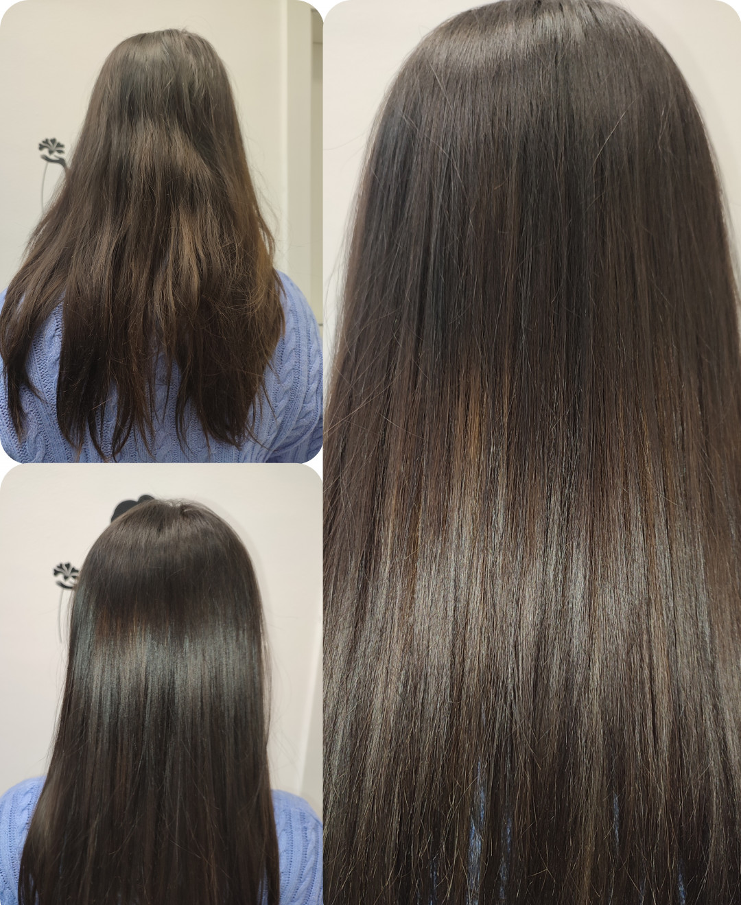 Infinity Hair #novisad Nega i ojačavanje kose Botox tretman (bez feniranja) - srednja dužina kose (do ramena)