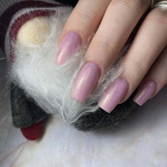 Frančeska beauty studio #novisad