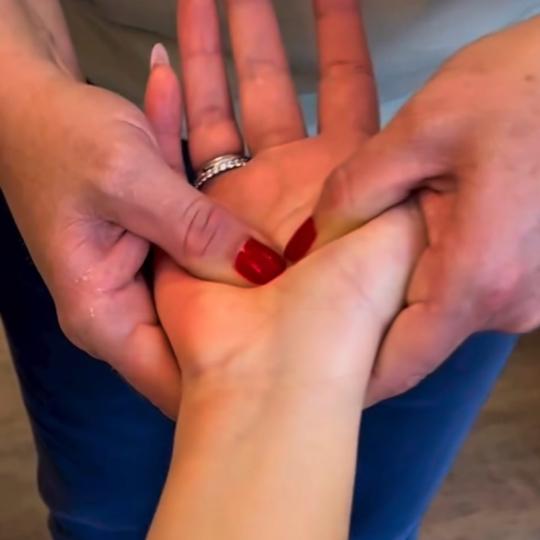 Sinergy - Zemun usluga