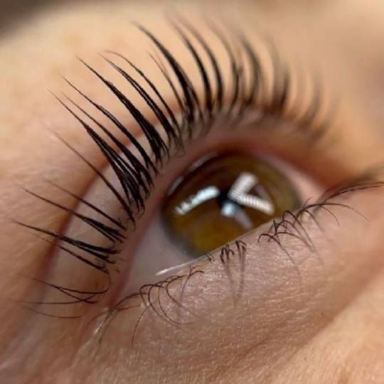 MV Studio #beograd Trepavice Lash lift + farbanje trepavica