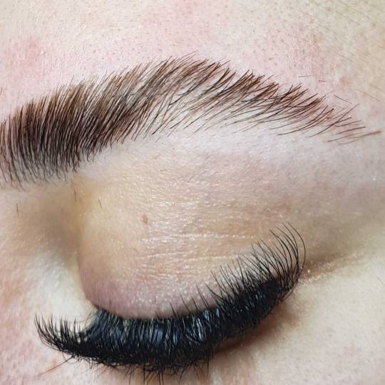 SunBox #beograd Obrve Brow lift #browlift #vidikovac #obrve