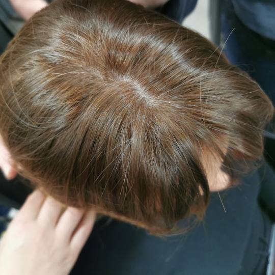 Knez Alfaparf Milano usluga