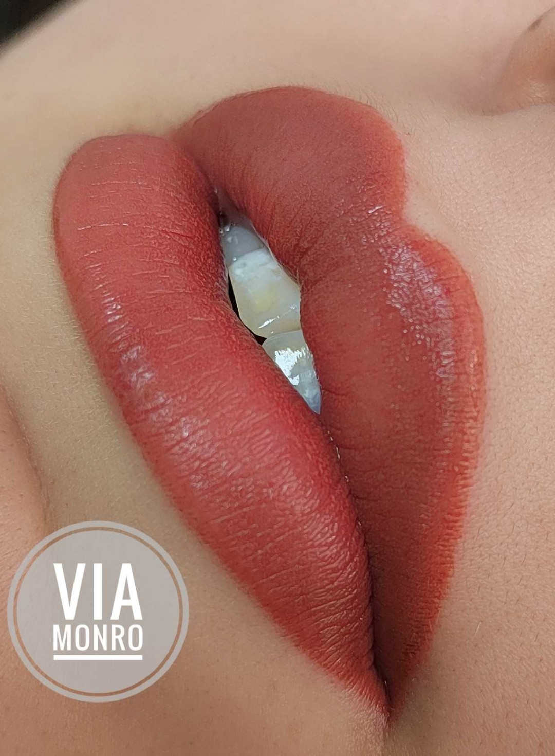 Andre Art #nis Make-up / šminkanje Trajna šminka usana - labelo usne