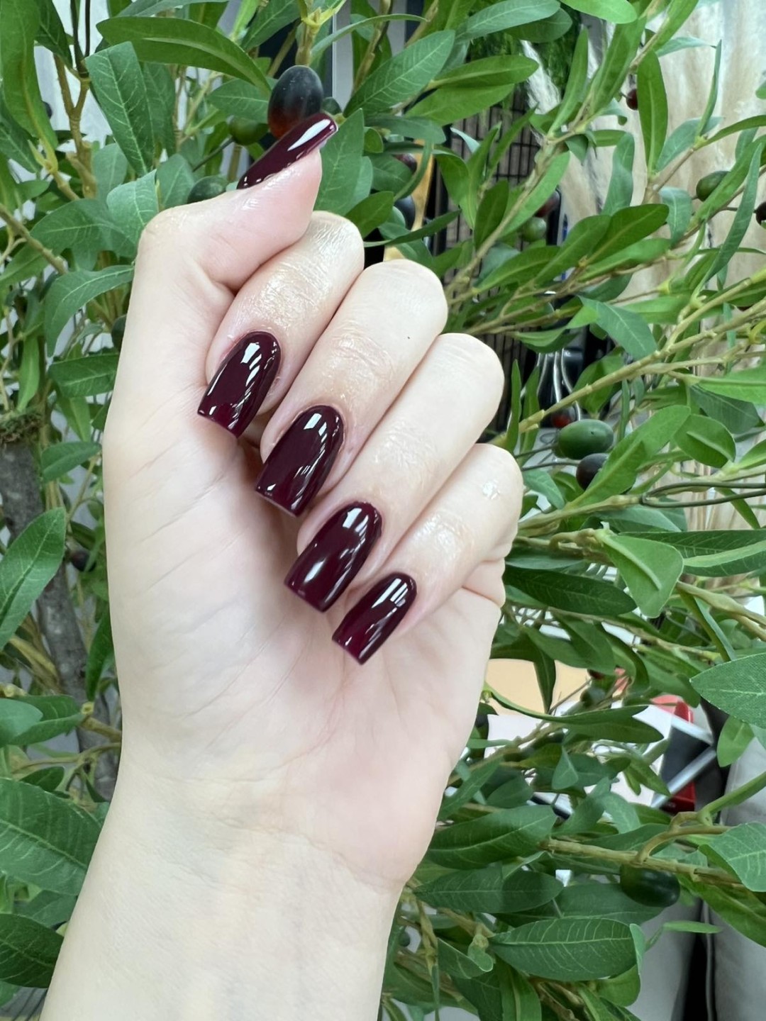 Le Salon Deluxe #kragujevac