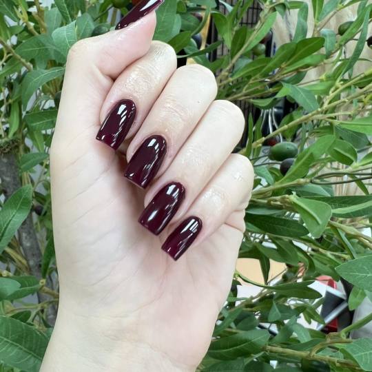 Le Salon Deluxe #kragujevac