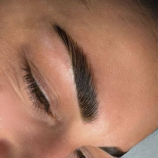 Alexandria Brow&Beauty lounge #beograd Obrve Brow lift