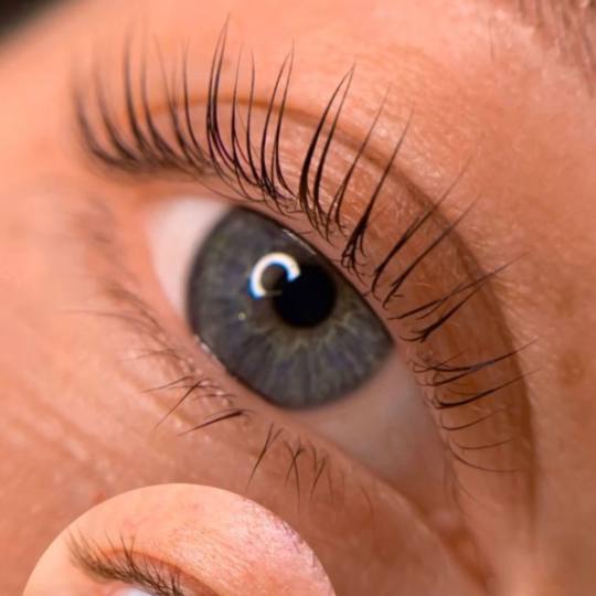 Xenija Beauty Room #beograd Trepavice Lash lift bez farbanja