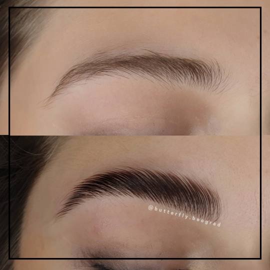 Butterfly #beograd Obrve Brow lift sa senčenjem Brow lift / laminacija obrva Laminacija obrva je pr