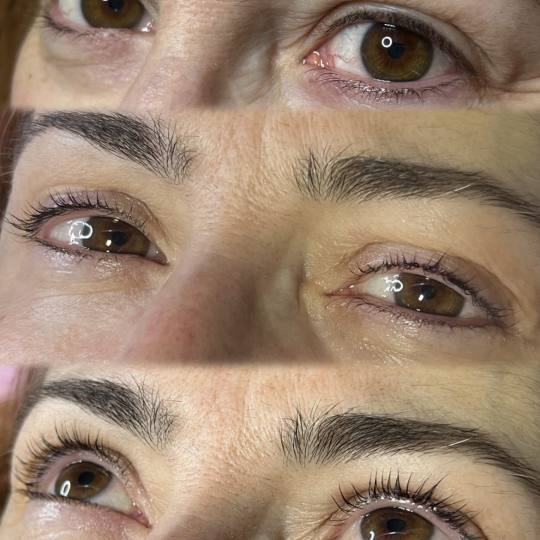 Artist Alex Studio #nis Trepavice Lash lift Sa farbanjem trepavica