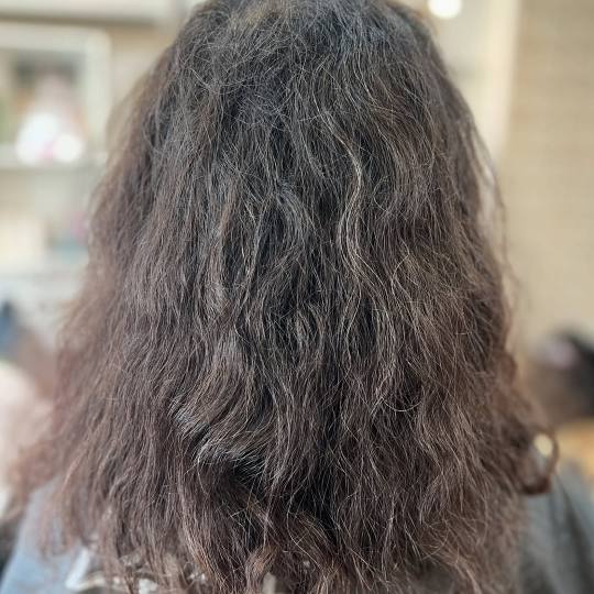 Sobhani Hair Studio #beograd
