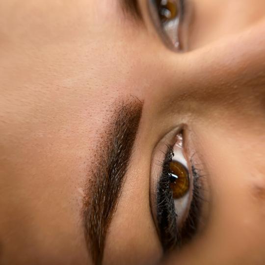 Elle beauty center #novisad Trajna šminka Trajna šminka - puder obrve