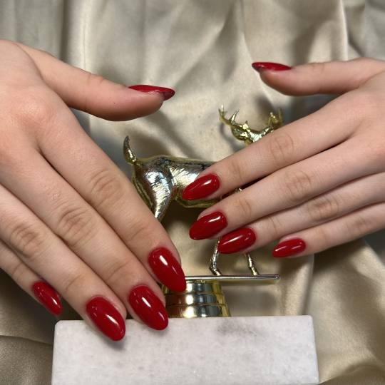 Mina - Slavija usluga