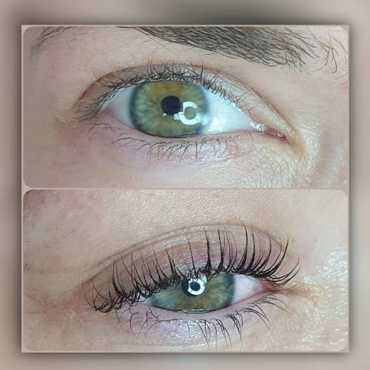 Kaćina soba lepote #beograd Trepavice Lash lift + farbanje trepavica + tretman kolagenom