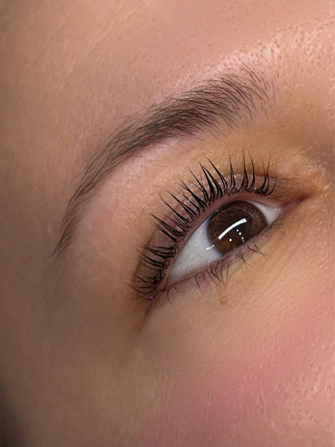 Alexandria Brow&Beauty lounge #beograd Trepavice Lash lift
