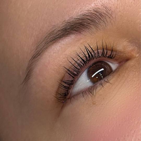 Alexandria Brow&Beauty lounge #beograd Trepavice Lash lift