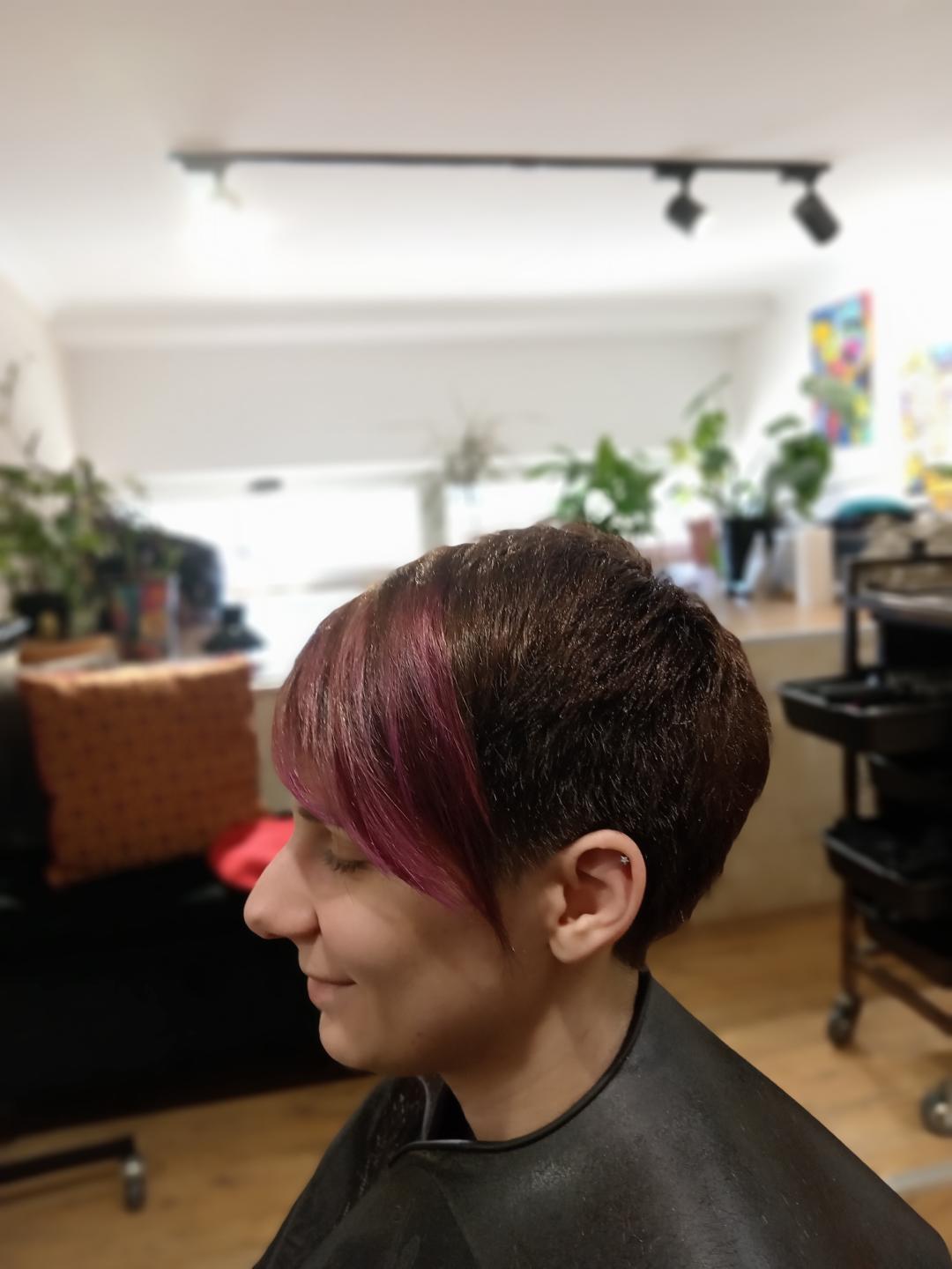 Frizerska Radionica #beograd Farbanje kose Farbanje cele dužine - kratka kosa