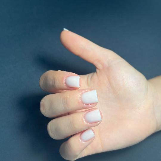 Studio Apejron usluga