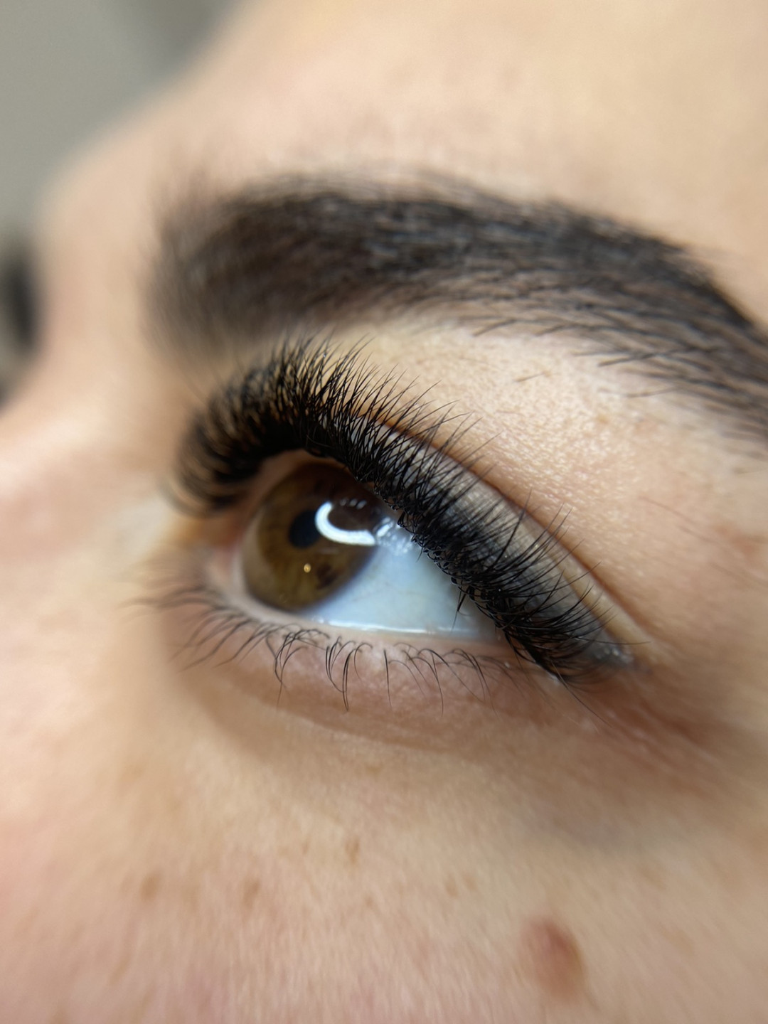 Brush and Lash #beograd