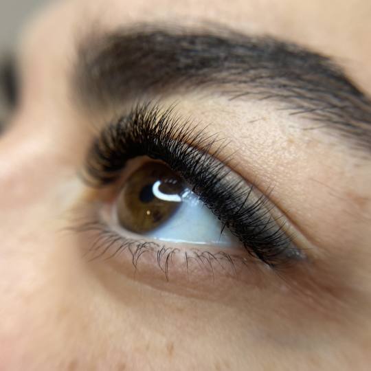 Brush and Lash #beograd