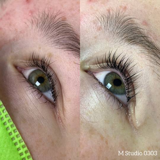 M Studio 0303 #novisad Trepavice Lash lift + farbanje trepavica + botox