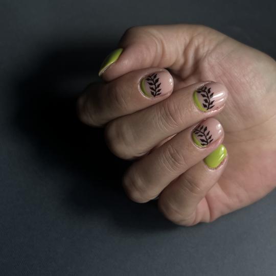 Studio Apejron usluga