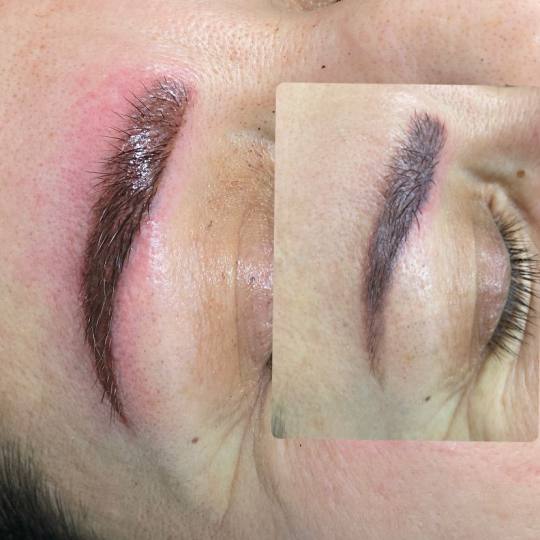 Angels #novisad Obrve Trajna šminka- Puder Obrve Puder Obrve u kozmetickom salonu Angels Novi Sad