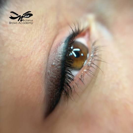 Nectarius Brows Academy #kragujevac