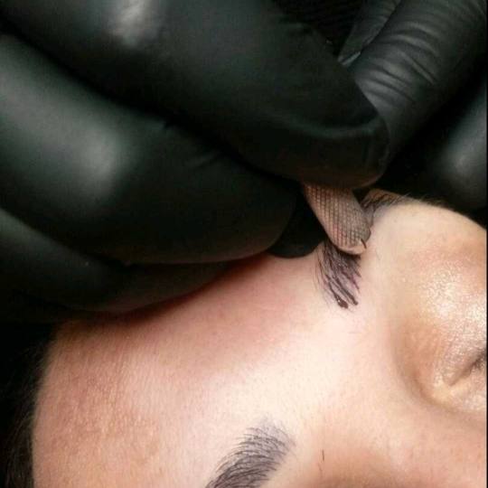 The Waxing Room #beograd Trajna šminka 3D obrvice
