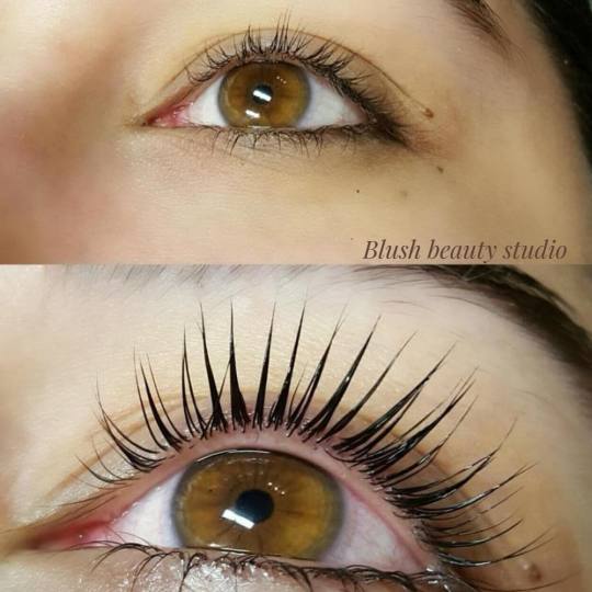 Blush Beauty Studio #beograd Nadogradnja trepavica Nadogradnja svilenih trepavica - 1 na 1