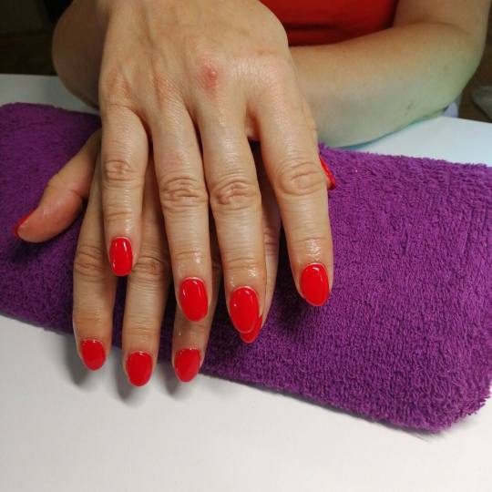 Magdalena 11 #beograd Manikir SPA manikir + lakiranje noktiju manikir