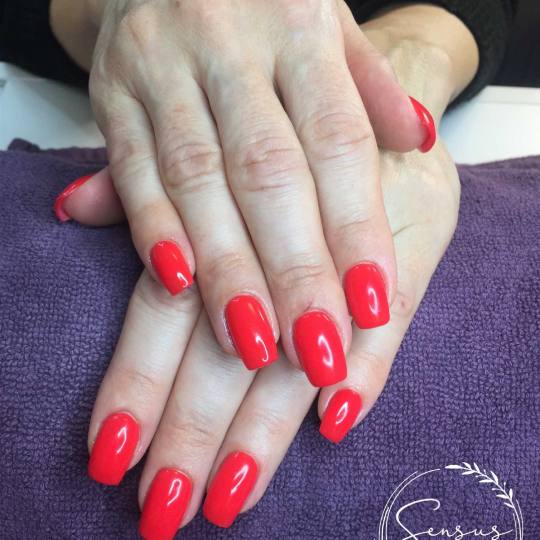Sensus #beograd Manikir Manikir + gel lak