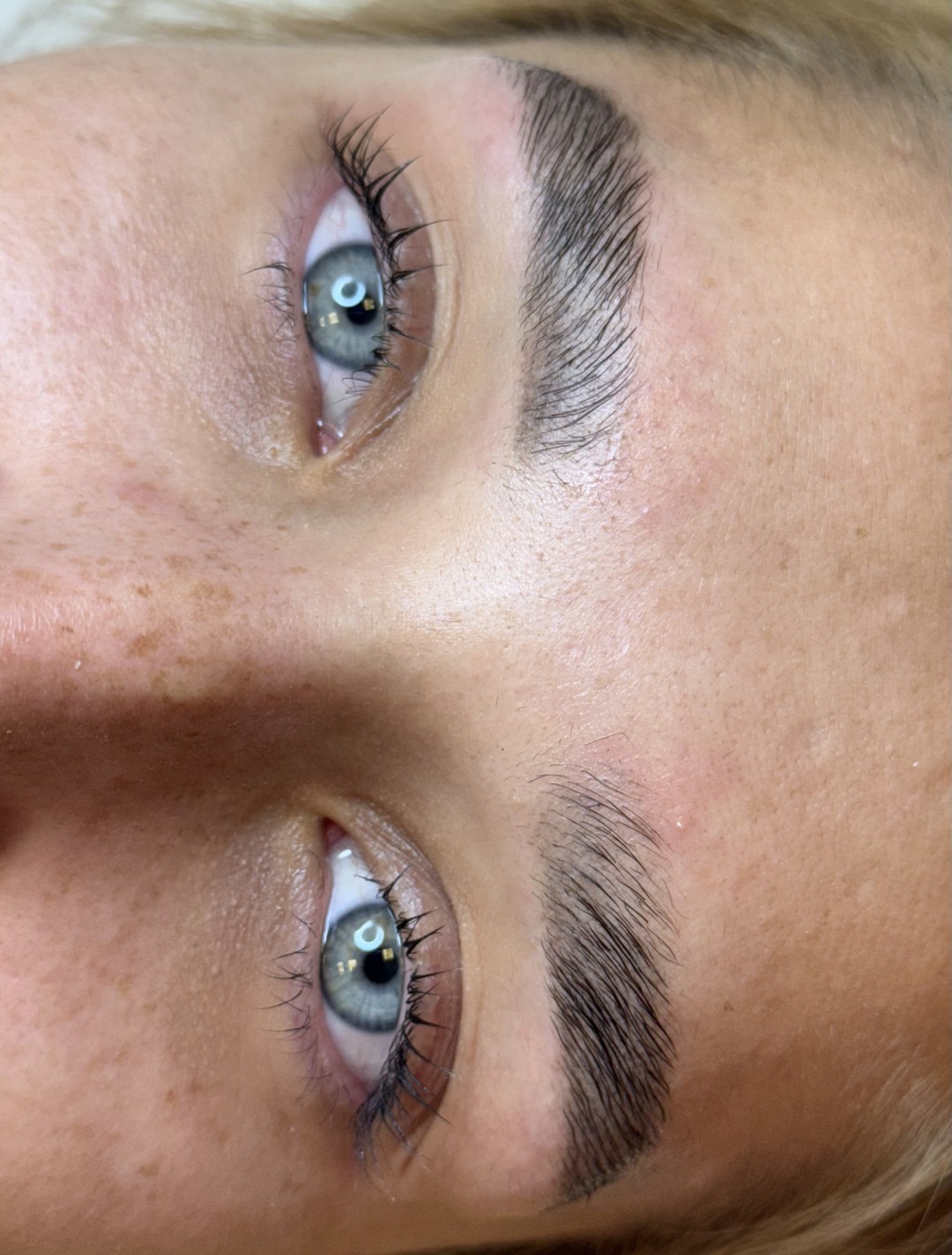 The Maya #beograd Obrve Brow lift + lash lift + farbanje obrva i trepavica