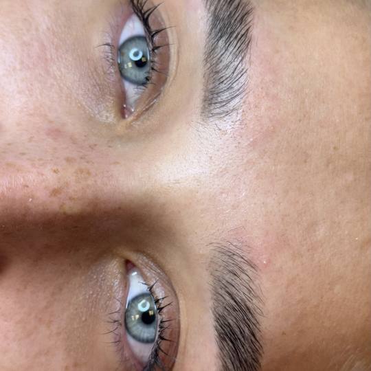 The Maya #beograd Obrve Brow lift + lash lift + farbanje obrva i trepavica