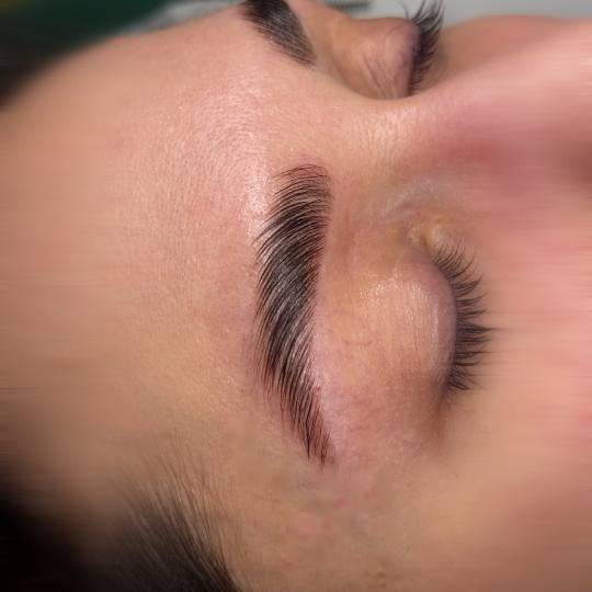 Alexandria Brow&Beauty lounge #beograd Obrve Brow lift
