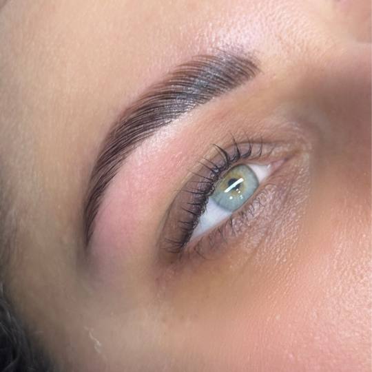 Alexandria Brow&Beauty lounge #beograd Trepavice Brow beauty&care paket