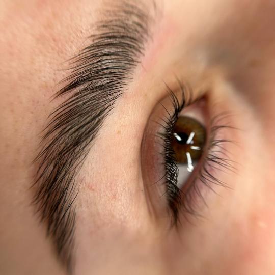Alexandria Brow&Beauty lounge #beograd Trepavice Lash lift + brow lift