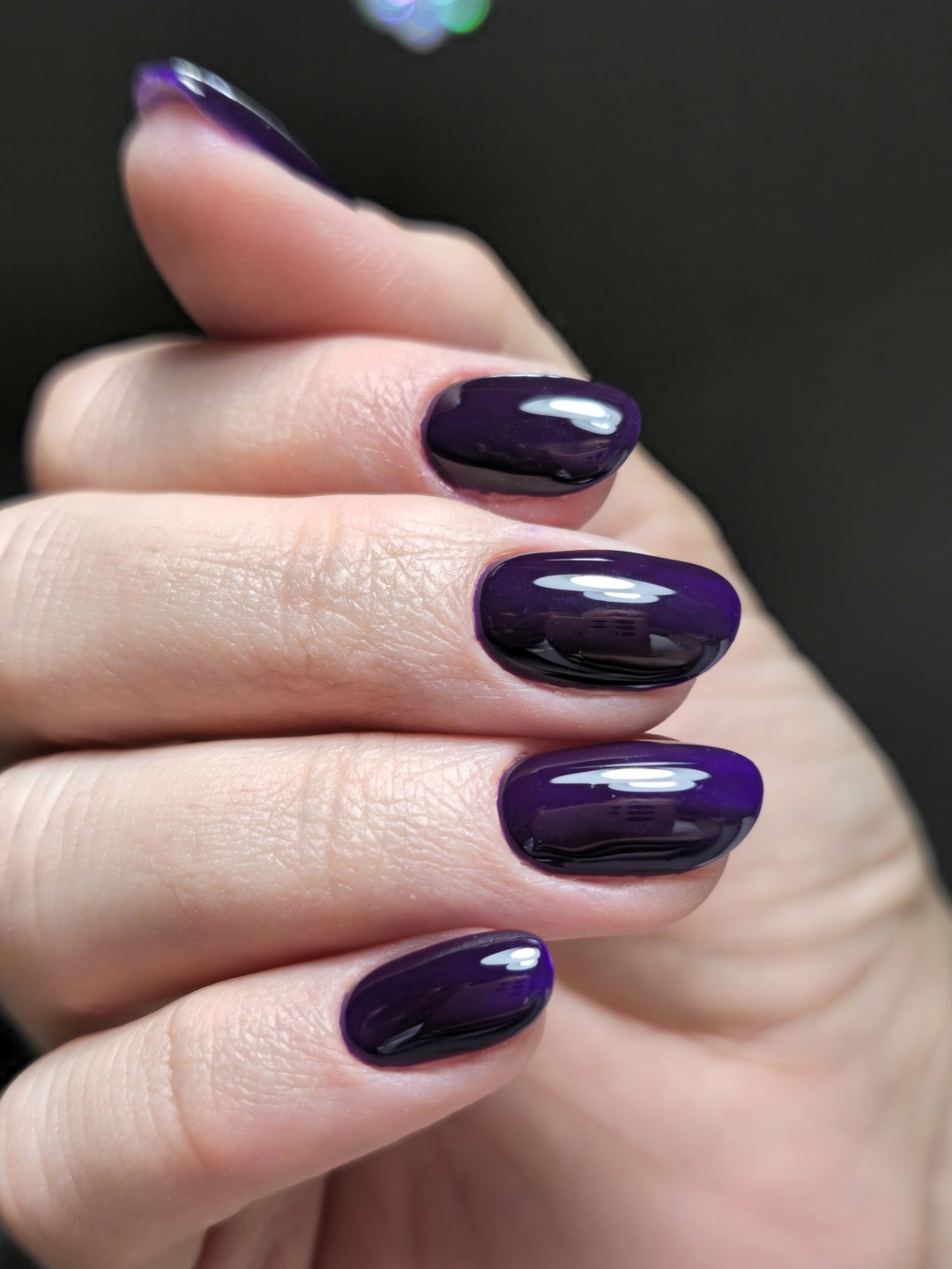 Purple Beauty #beograd
