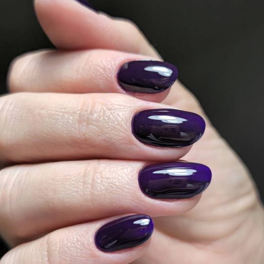 Purple Beauty #beograd